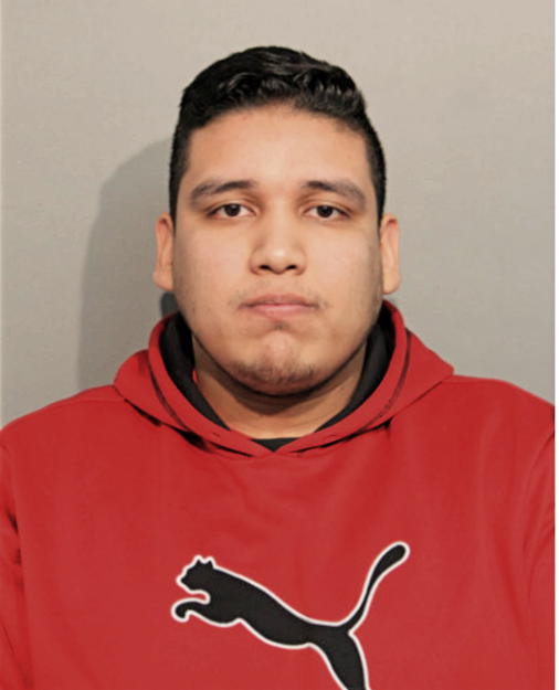 DANIEL E RAMIREZ, Cook County, Illinois