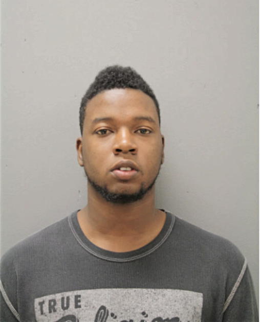 DINESIO I RICHARDSON, Cook County, Illinois