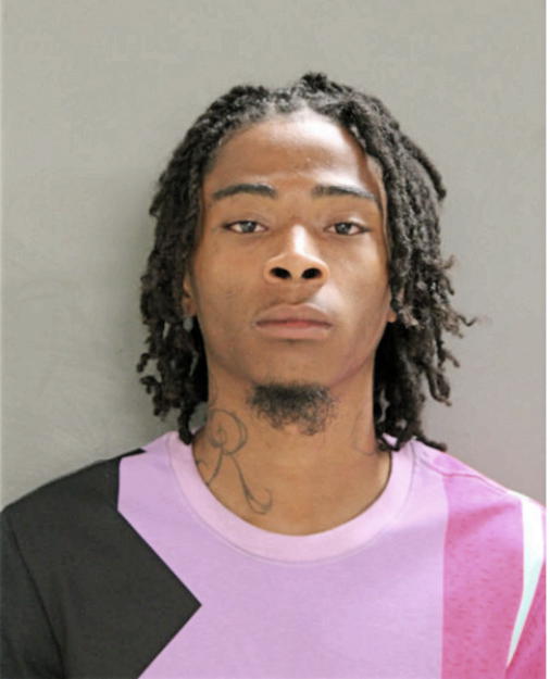 PARIS RIVERA, Cook County, Illinois