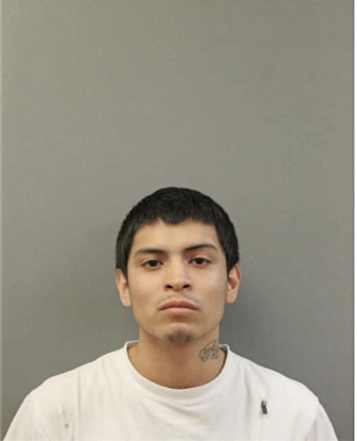 OSCAR E ROSALES, Cook County, Illinois