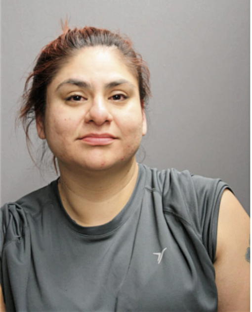 ANGELA L VALENTINO, Cook County, Illinois
