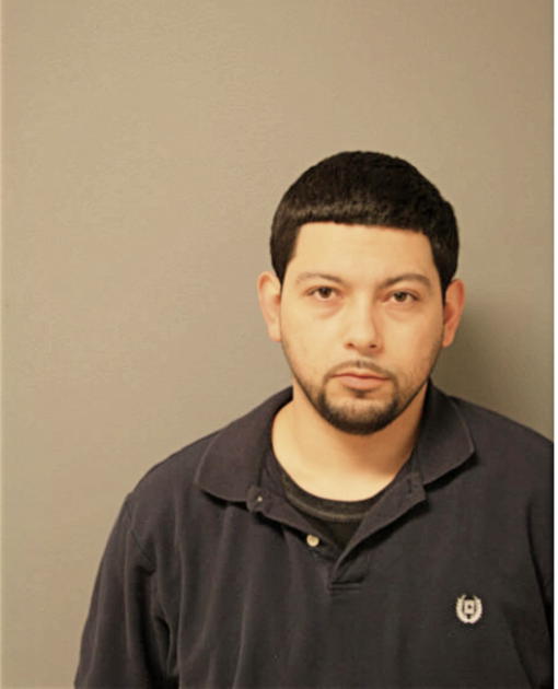 MICHAEL A VALLE, Cook County, Illinois