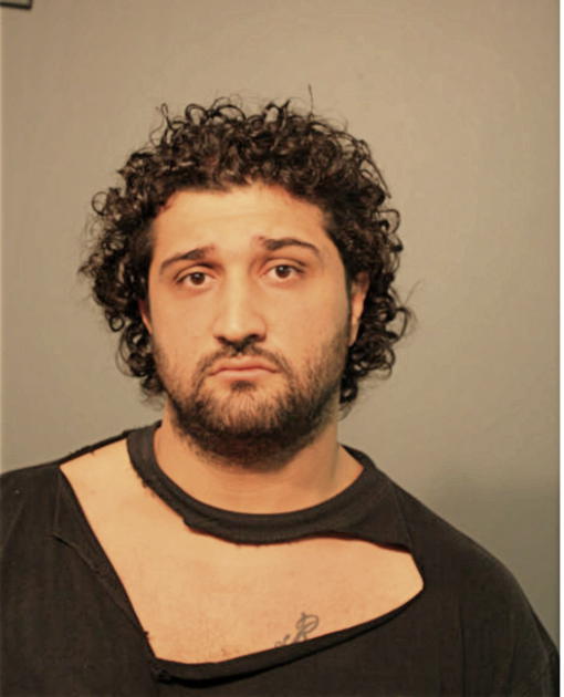 ALAN ZAIA, Cook County, Illinois