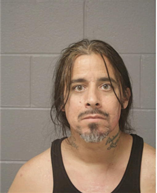MICHAEL M ALEJANDRO, Cook County, Illinois