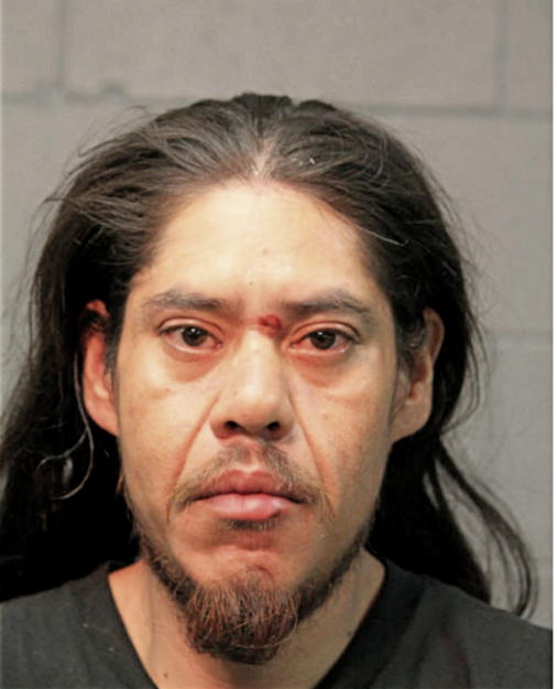 DANIEL A ALMAZO, Cook County, Illinois