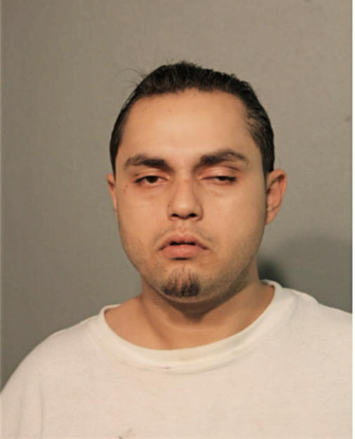 HASAN M AWWAD, Cook County, Illinois