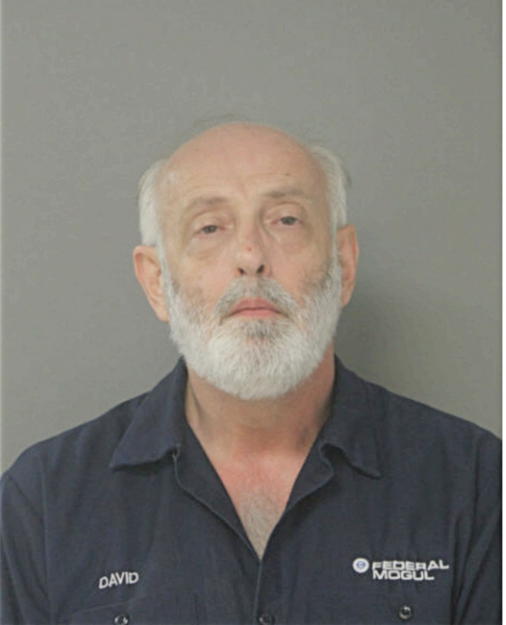 DAVID E BESSLER, Cook County, Illinois