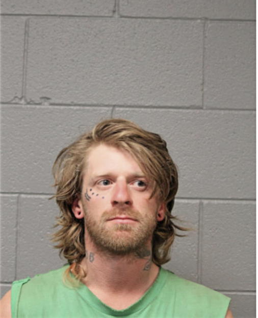BRIAN K ELSWICK, Cook County, Illinois