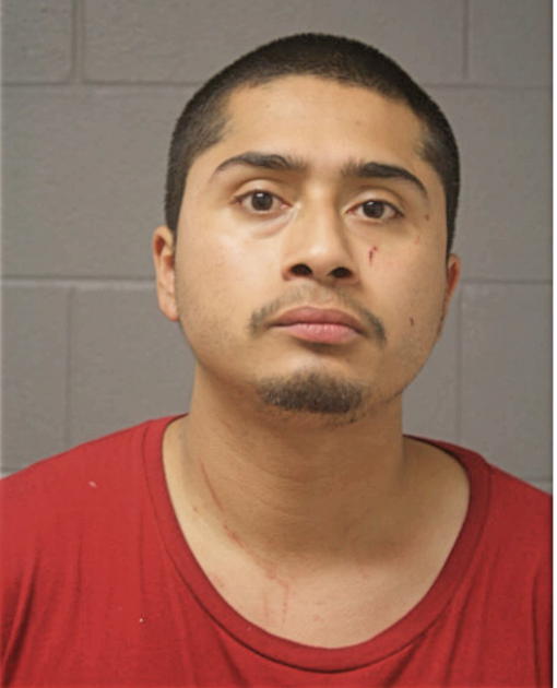 ADRIAN FLORES, Cook County, Illinois
