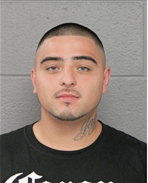 OSCAR J HERNANDEZ, Cook County, Illinois