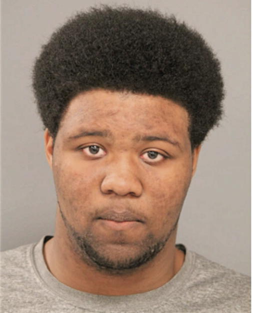 LEON D HOLLAND, Cook County, Illinois