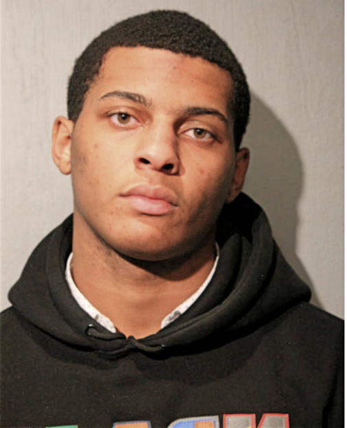 TYVON A JOHNSON, Cook County, Illinois