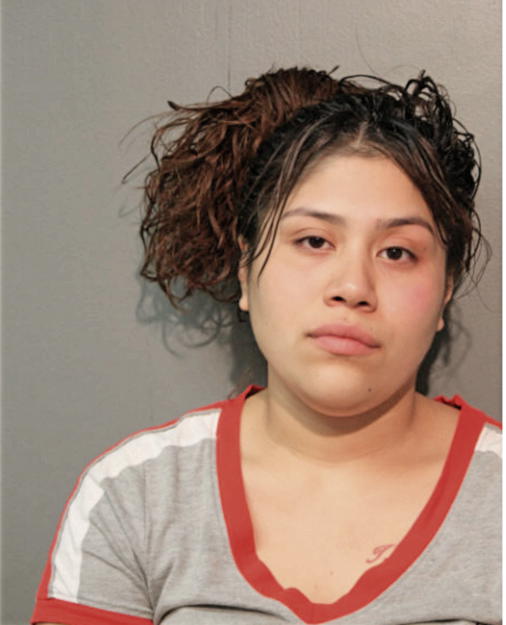 NANCY DENISE NAVA, Cook County, Illinois