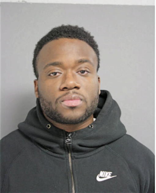 TAIWO O OGUNFOWOKAN, Cook County, Illinois