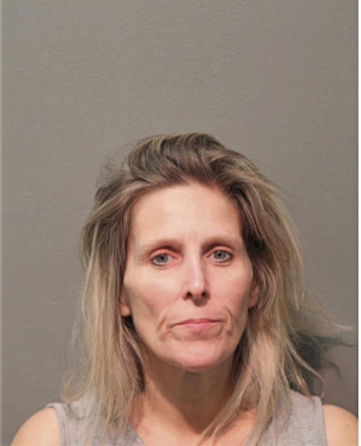 ROBIN L OLSEN, Cook County, Illinois