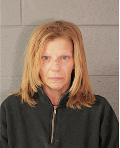 KAREN J PAGE, Cook County, Illinois