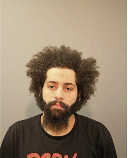 ANDRE S RICHARDS, Cook County, Illinois