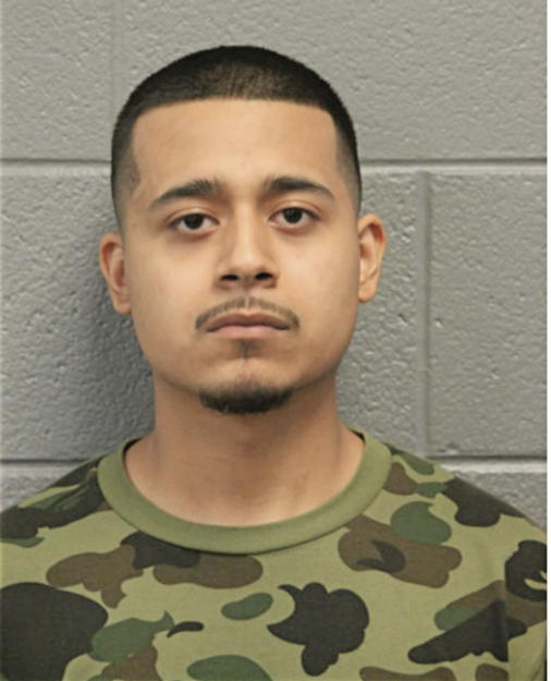 ALDO I SANCHEZ-HERRERA, Cook County, Illinois