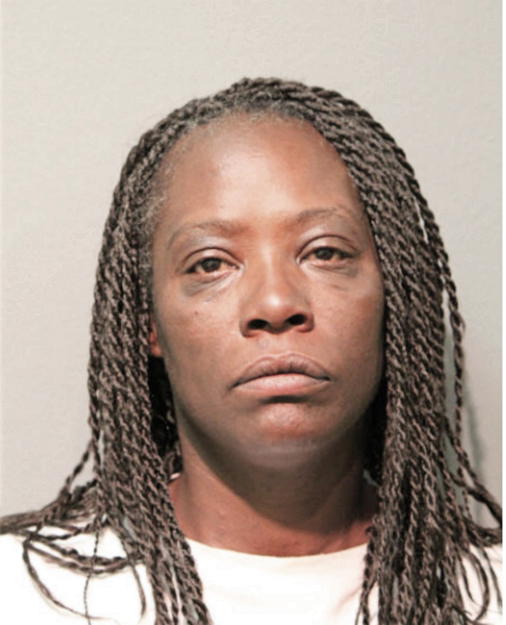 DENISE SERFEL, Cook County, Illinois