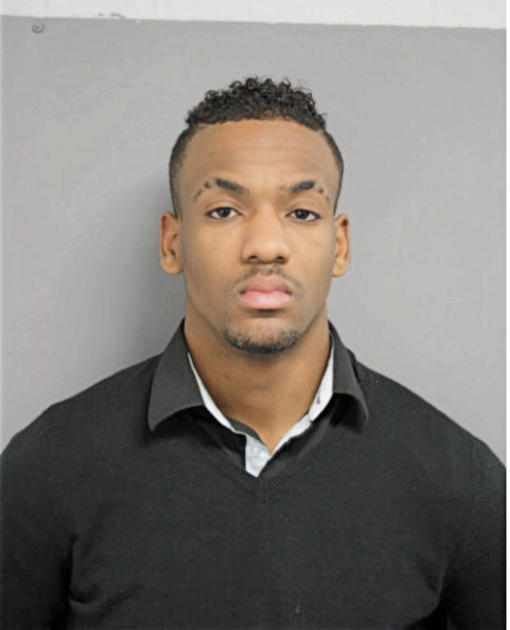 DERRICK E SIMMONS, Cook County, Illinois