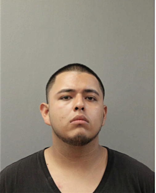 DIEGO SOTO, Cook County, Illinois
