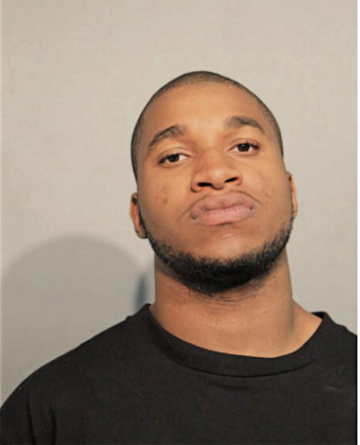 MICHAEL L STEELE, Cook County, Illinois
