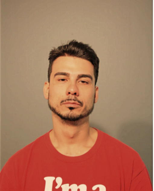 BERNARDINO TORRES, Cook County, Illinois