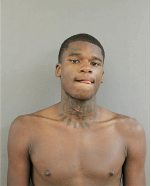 ELIJAH D TURNER, Cook County, Illinois
