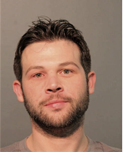 ANTHONY J WOLF, Cook County, Illinois