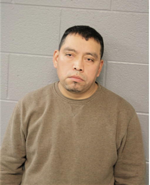 HECTOR G ZAVALETA, Cook County, Illinois