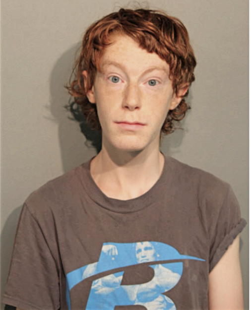 BRENNIN R ZIEGLER, Cook County, Illinois