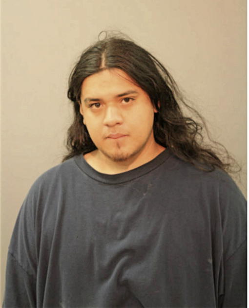 MIGUEL A MENDOZA, Cook County, Illinois