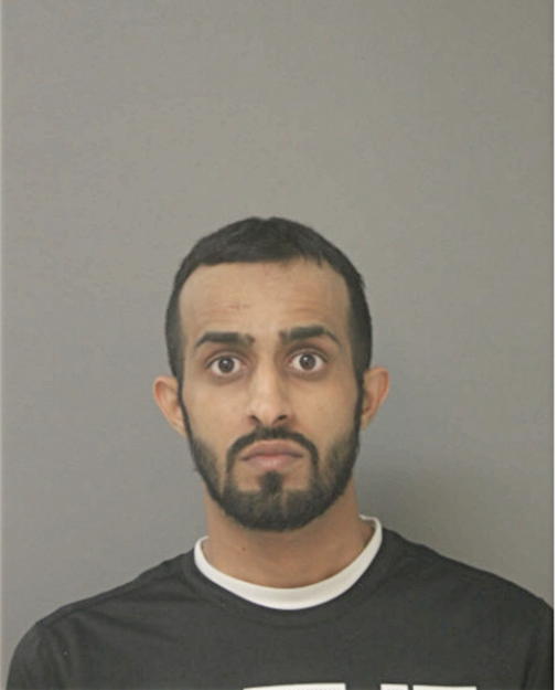 MOHAMMED E ALANZI, Cook County, Illinois