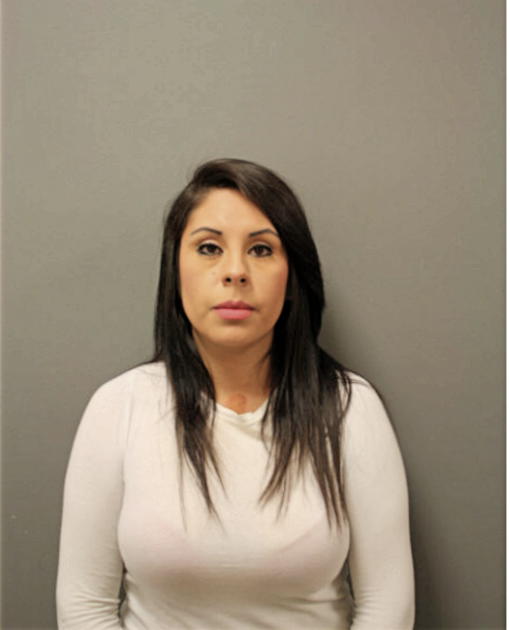 LIZENT L ARIZA, Cook County, Illinois