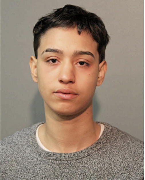 ANA MARIAPOLA ARREOLA, Cook County, Illinois