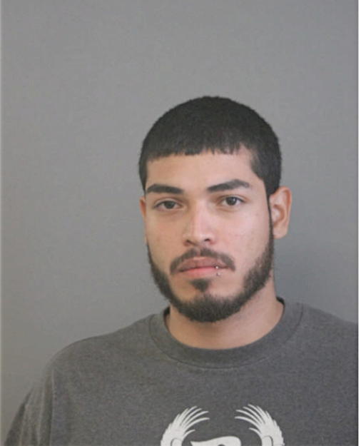 LUIS G AVILA, Cook County, Illinois