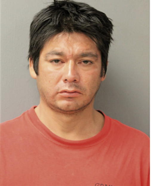 JUAN C AVILES, Cook County, Illinois