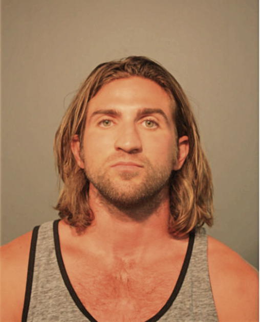 SAMIR BEKTASEVIC, Cook County, Illinois