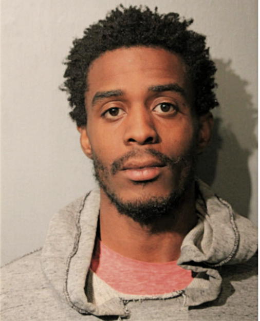 DANTRELL D BRIDGES, Cook County, Illinois