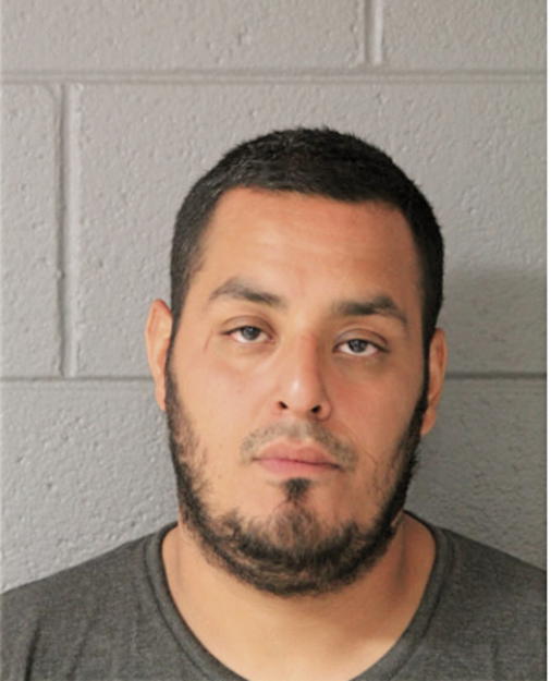 JOSEPH A DELAROSA, Cook County, Illinois