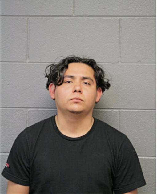 EMILIO DIRCIO, Cook County, Illinois