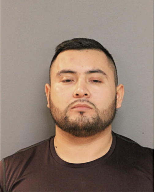 FIDEL FLORES, Cook County, Illinois