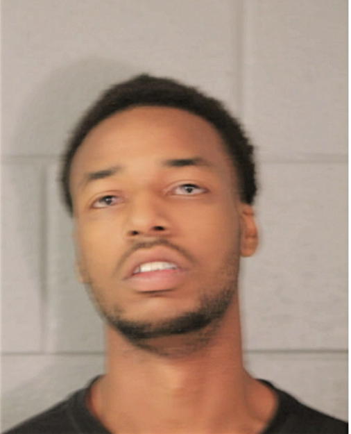 ERIK G FRISON, Cook County, Illinois