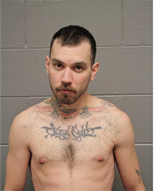 RORY J GALLEGOS, Cook County, Illinois