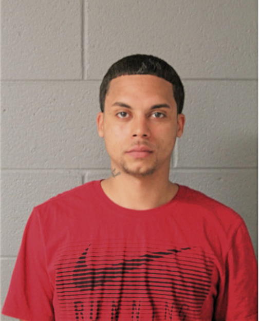 JUSTIN A GONZALEZ, Cook County, Illinois