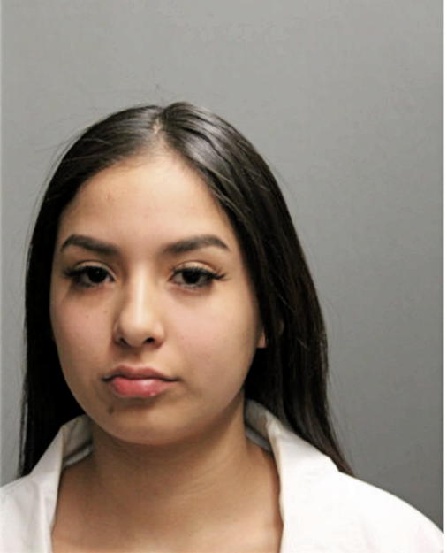 YAMILE GONZALEZ, Cook County, Illinois