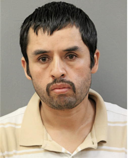 ANDRES GUITIERREZ-LICONA, Cook County, Illinois