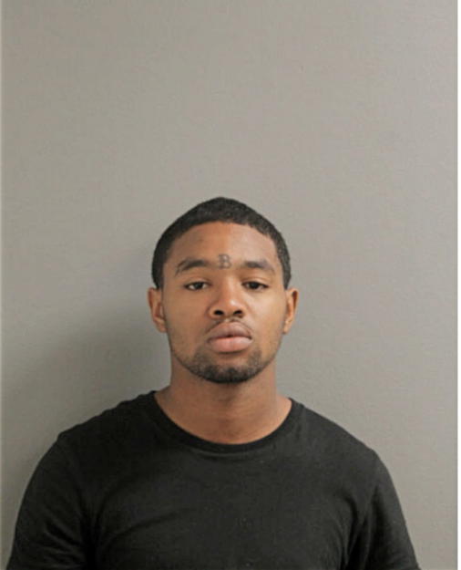RAYMOND T HANDS, Cook County, Illinois