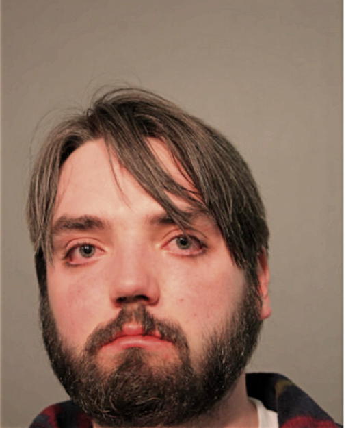 MITCHELL HEALY, Cook County, Illinois