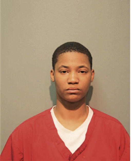 DANIELLE M HUDSON, Cook County, Illinois